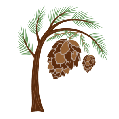 The Pine Paradise Resort